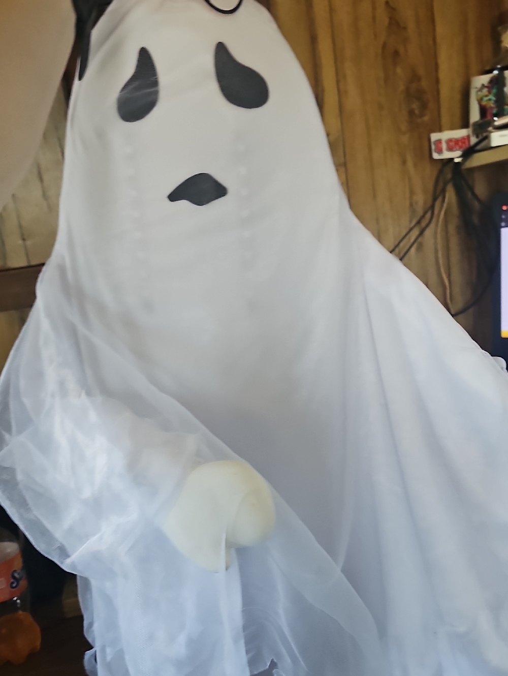Classic White Ghost Decor